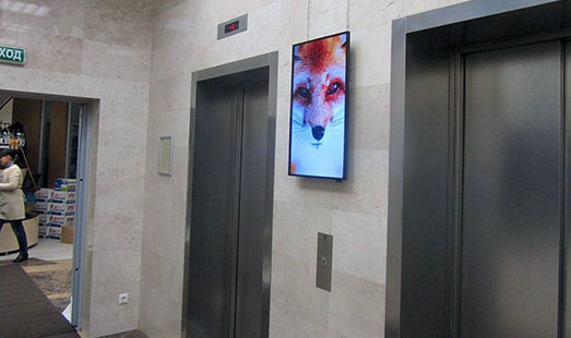 Размещение рекламы на мониторах и LED панелях в бизнес центре Домников